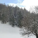 Berghotel Hinterduxerhof فندق *
