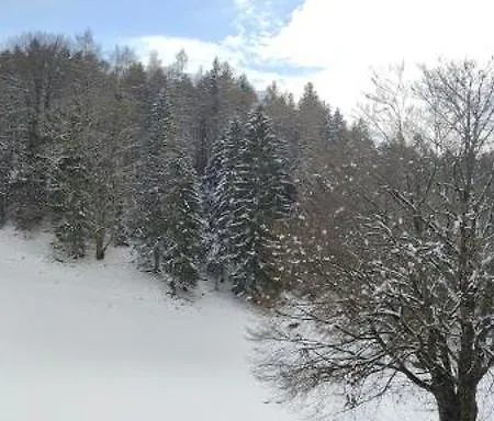 Hinterduxerhof ホテル *